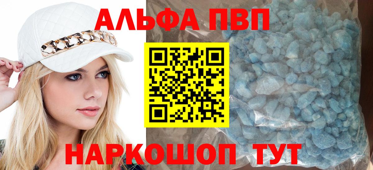 Альфа ПВП СК КРИС Гудермес