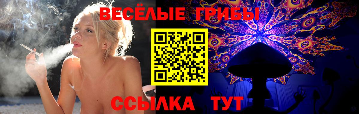 Галлюциногенные грибы GOLDEN TEACHER  Вход с VPN  Гудермес 